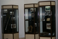 IMGP0598