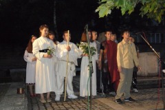SAM_0054